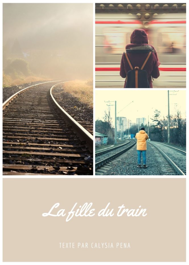 photo illustration la fille du train