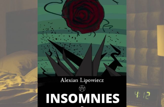 photo avis lecture sur insomnies