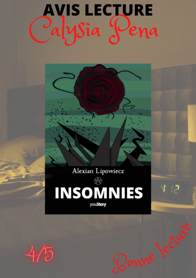 photo avis lecture sur insomnies